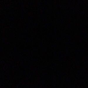 Meet your Posher, Mia